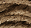 79