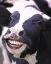 2508