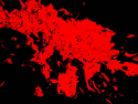 2300