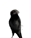 3615