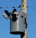 18717