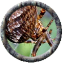 990