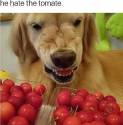 78740