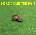 2947