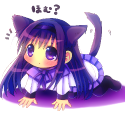 10376