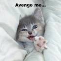11709