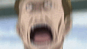 16049