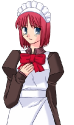 16576