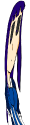 20250