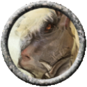 21235