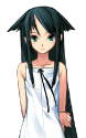 25050