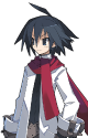 25067