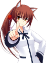 26645