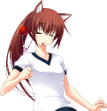 29234