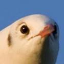 31108
