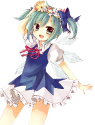 32443