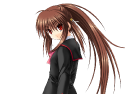 38260