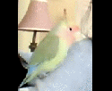44490