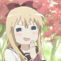 49137