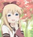 49142