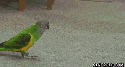 50188