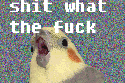 51190