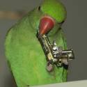 65929