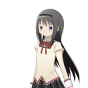 66446