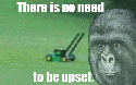 71096