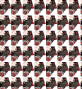 74361