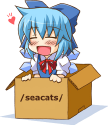 75994